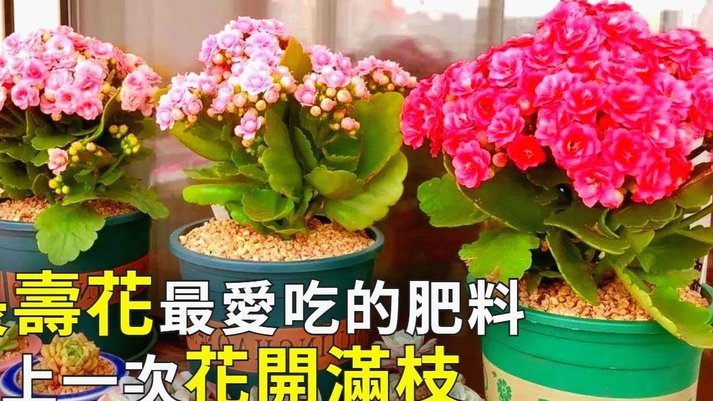 如何利用拿去花实现套现盈利