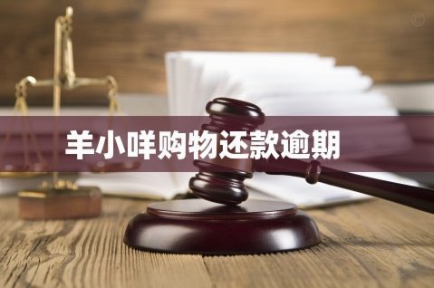 羊小咩信用钱包提现指南