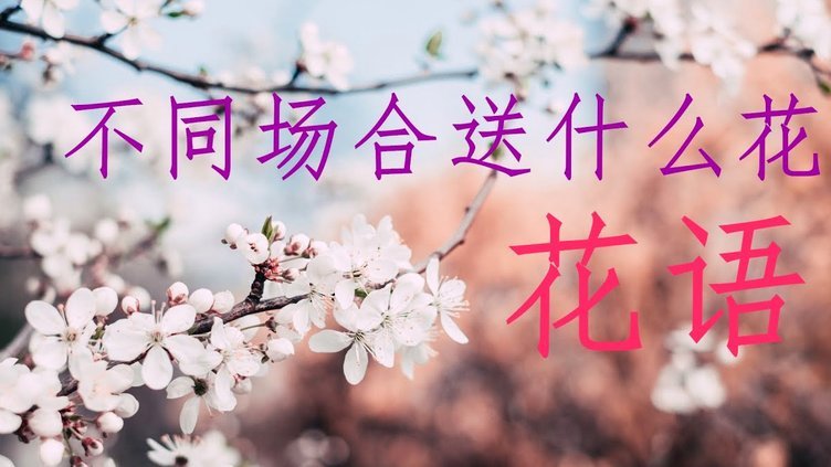 如何巧妙套现花呗权益