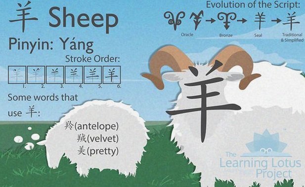羊小咩额度怎么套出来使用