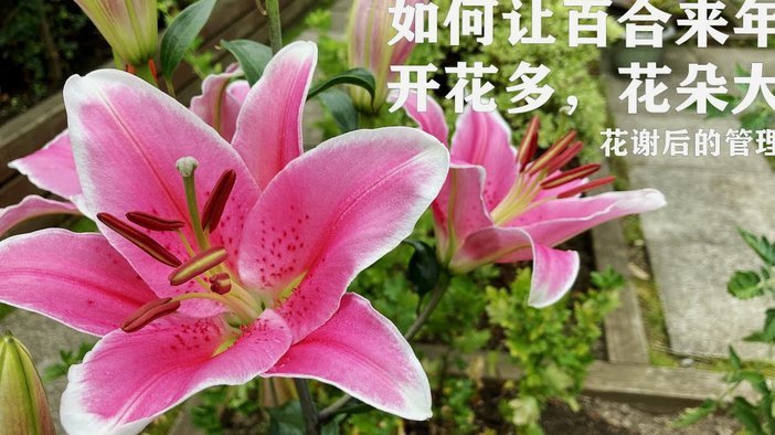 花呗资金能转入余额宝吗？