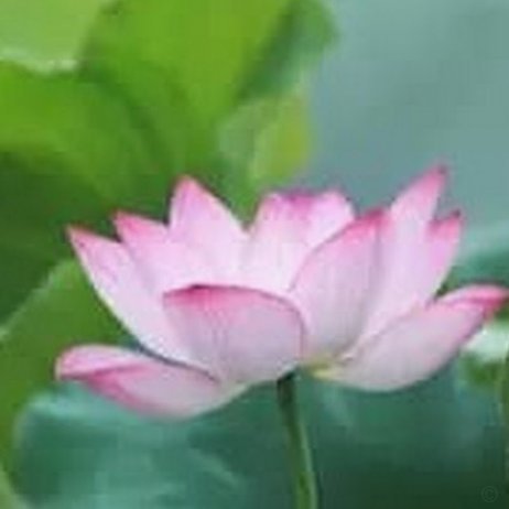 海鸥花呗还款全攻略