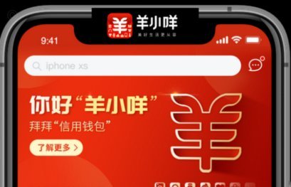 羊小咩平台是哪里的公司