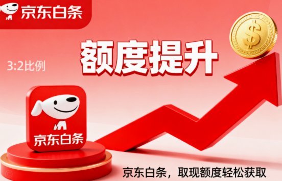 白条付费额度怎么套 取的