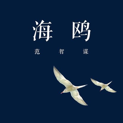 海鸥花呗：社交信用借贷新体验