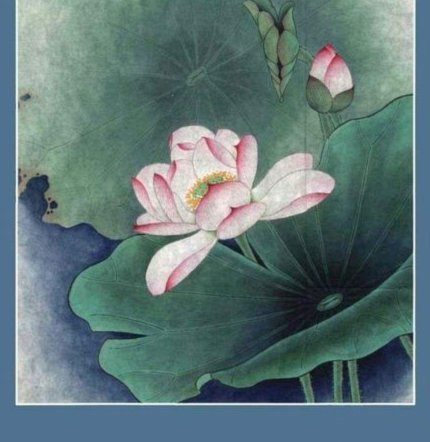 海鸥花呗平台怎么样