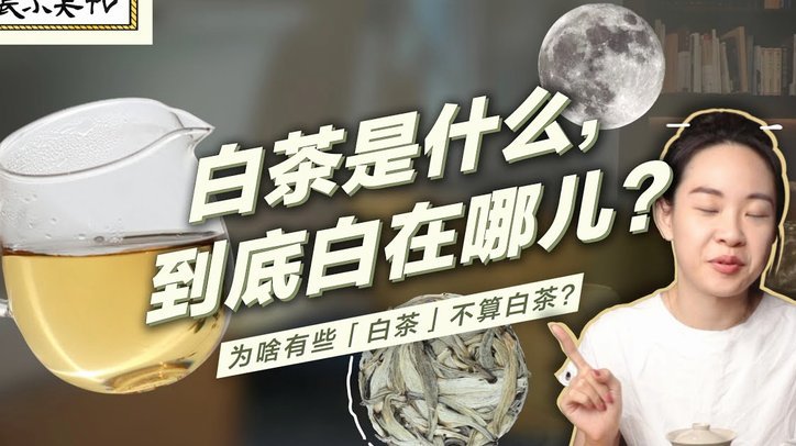 白条：如何聪明地提升你的信用额度？