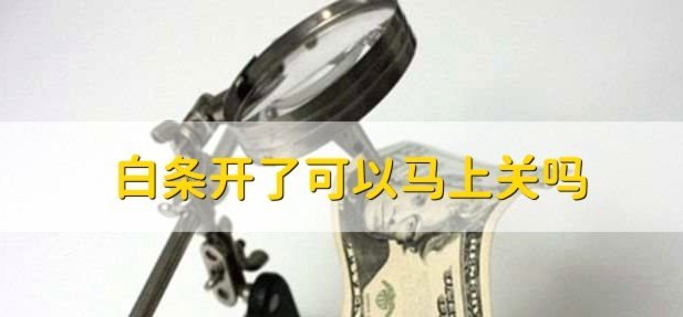 白条取现按时还款，征信有影响吗