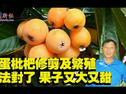 便荔卡取现：额度与技巧