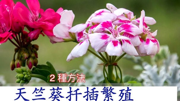 巧手织花艺，品传统之美