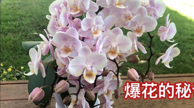怎样做套花