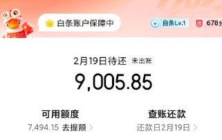 如何有效利用白条取现