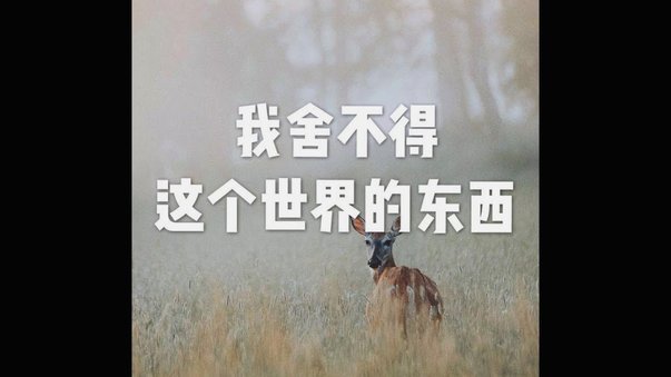 得物这个平台的东西是真的吗