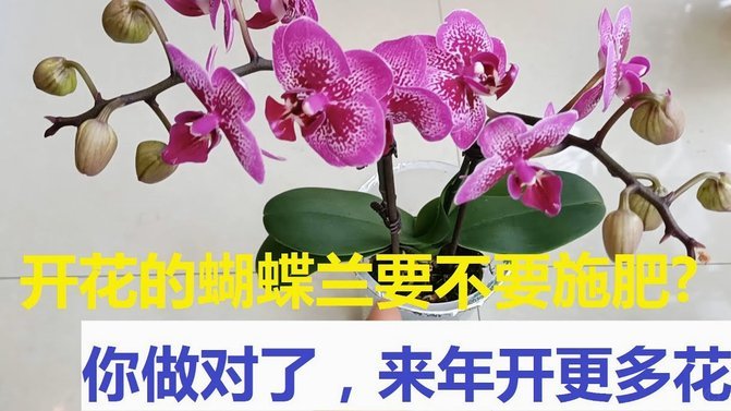 花呗生活号支付是正规平台吗