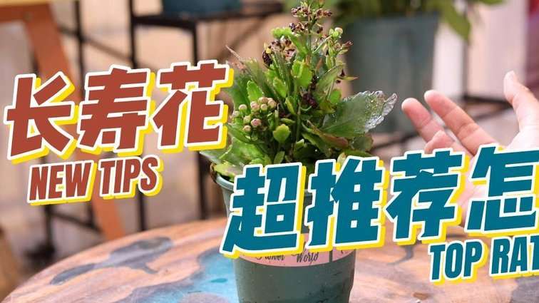 拿去花怎么套出来提现