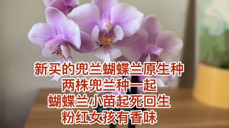 携程“拿去花”取现与还款全解析