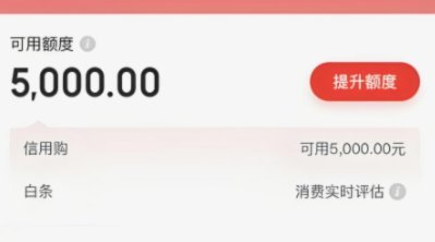 白条额度提额技巧