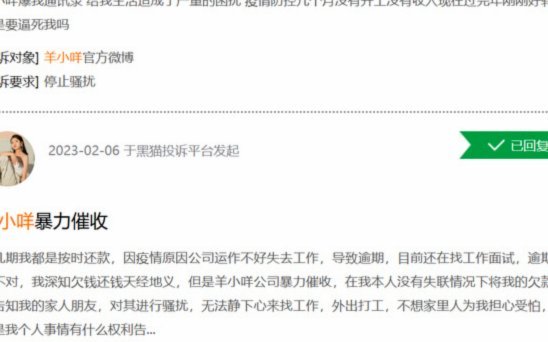 拆解羊小咩平台的法律风险