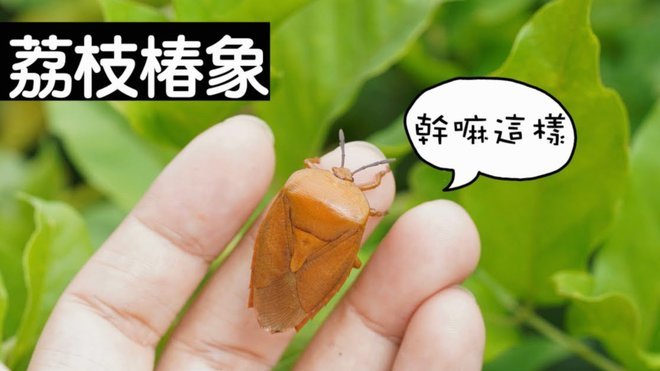 偏荔卡包额度被冻结在哪里查看