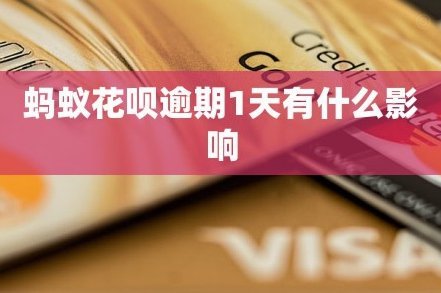 花呗用了要注意什么？深度揭秘消费陷阱与信用风险