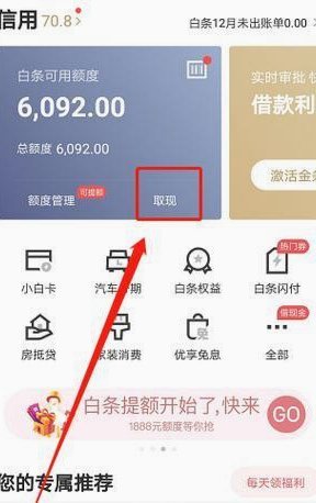 白条使用技巧：高效周转与风险规避