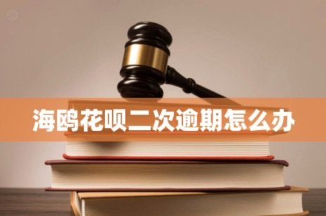 海鸥花呗平台真假探秘