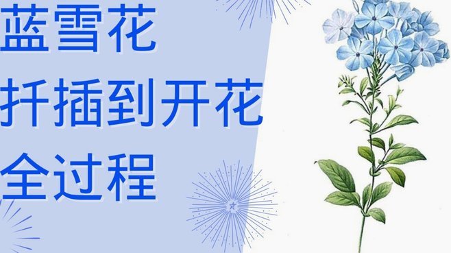 携程拿去花使用方法详解