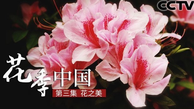 花呗套现500元到底严重不严重？看这几点！
