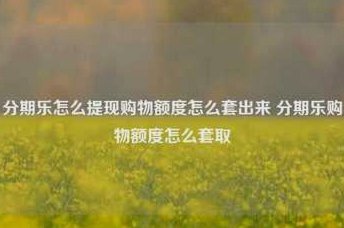 得物提现只能支付宝吗