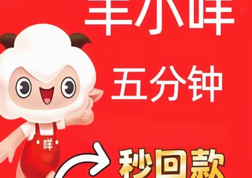 闲置额度变现金，“羊小咩”助你轻松理财