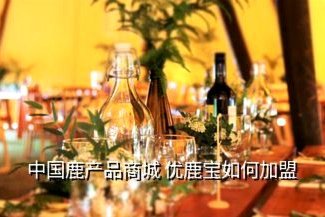 优鹿宝商城：智能供应链驱动的电商革新
