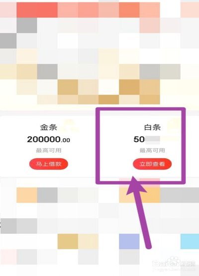 白条借钱如何用？