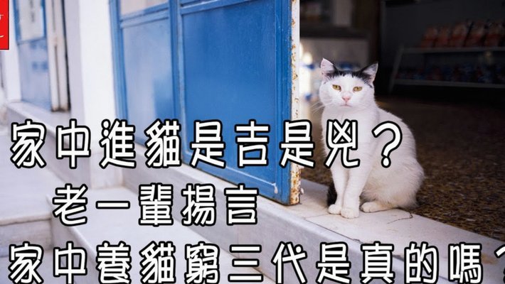 花呗天猫秒套 平台是真的吗