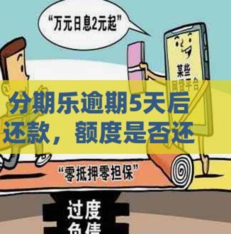 分期乐额度提高秘籍