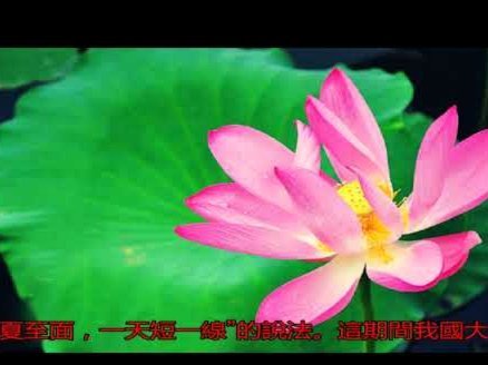 揭秘花呗背后的隐形陷阱