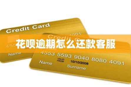 怎么样联系花呗客服电话