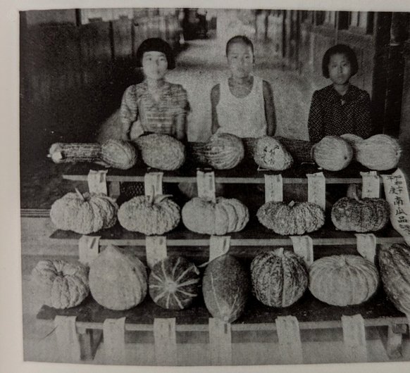 分期乐有额度借不出来怎么办