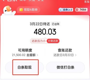 白条取现：用吗？安全吗？