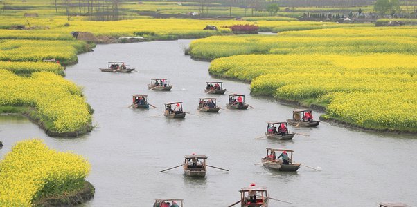 花呗现在情况 平台能查到吗怎么查
