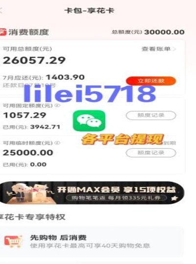 羊小咩消费额度怎么买东西