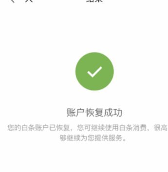 京东白条额度：稳增长攻略