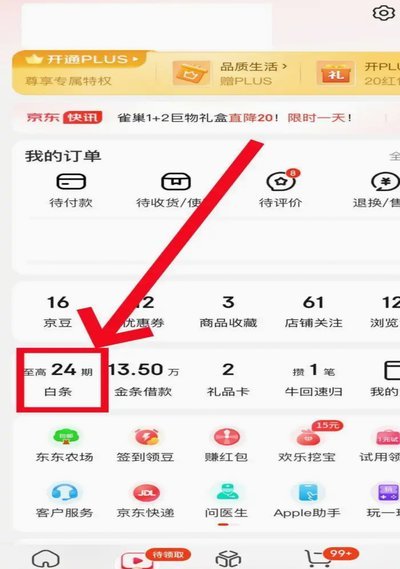白条消费额度在哪设置