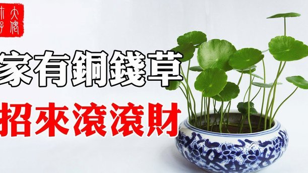 携程拿去花哪里可以套现 取现金