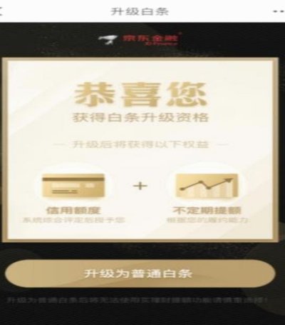 企业小额白条管理策略