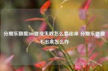 分期乐有额度却借不出钱？深度解析风控背后的秘密