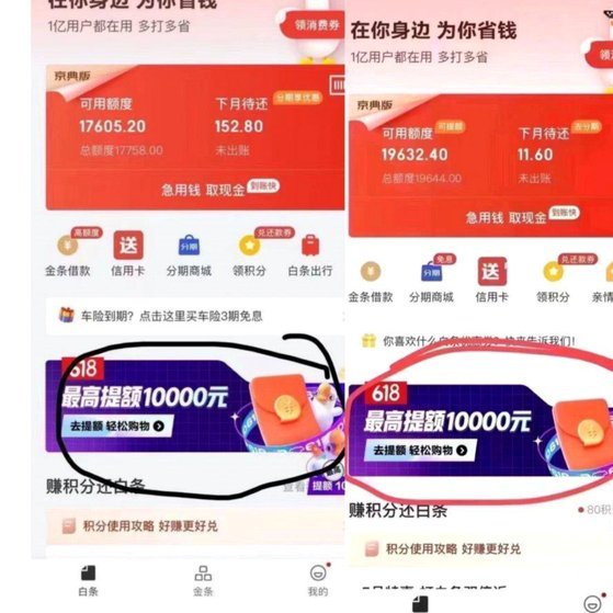 京东白条小额