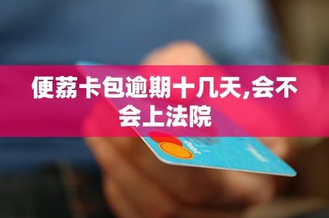 便荔卡包额度可以套现吗？解析其运行逻辑与风险