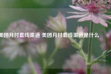美团月付套现点位 哪里看