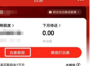 白条取出额度商家 取不出来怎么回事