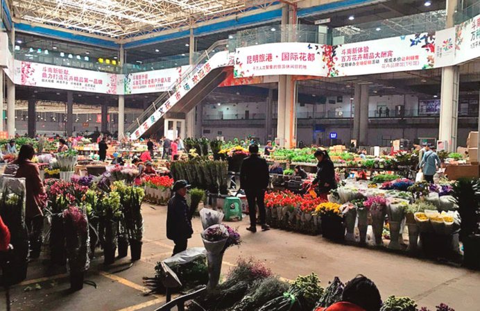 拿去花套现：商家能做吗？